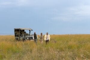 Paradise Plains Camp