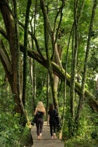 Paradise Plains Camp