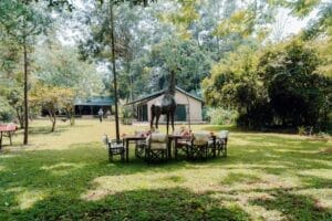 Nairobi Tented Camp - Garden - photo credit Céline and Sacha