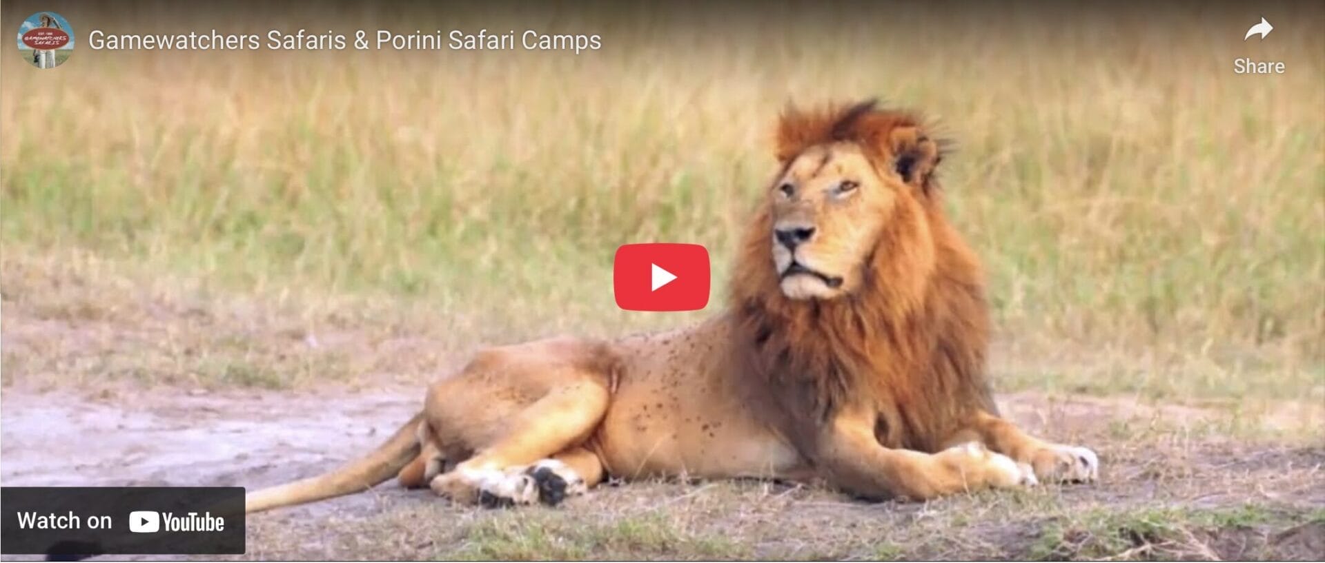 Gamewatchers Safaris & Porini Safari Camps