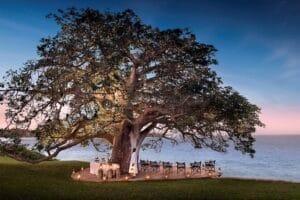 Sirai Beach House - Tree View Spot