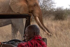 Porini Guide Melita in safari vehicle with Umoja Elephant in Selenkay Conservancy - photo credit Julie Roggow
