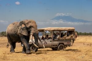 Umoja and Kilimanjaro photo credit Julie Roggow