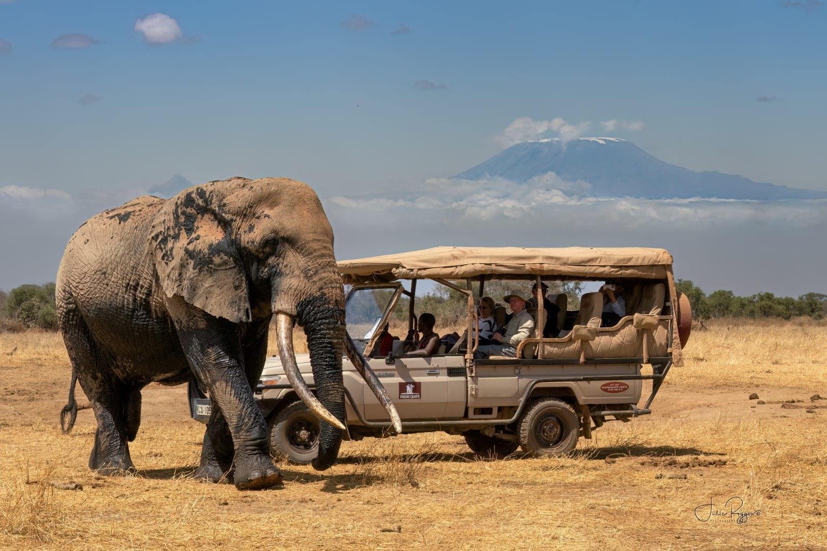 Umoja and Kilimanjaro photo credit Julie Roggow