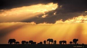 Sunset photo credit Lou Waldock