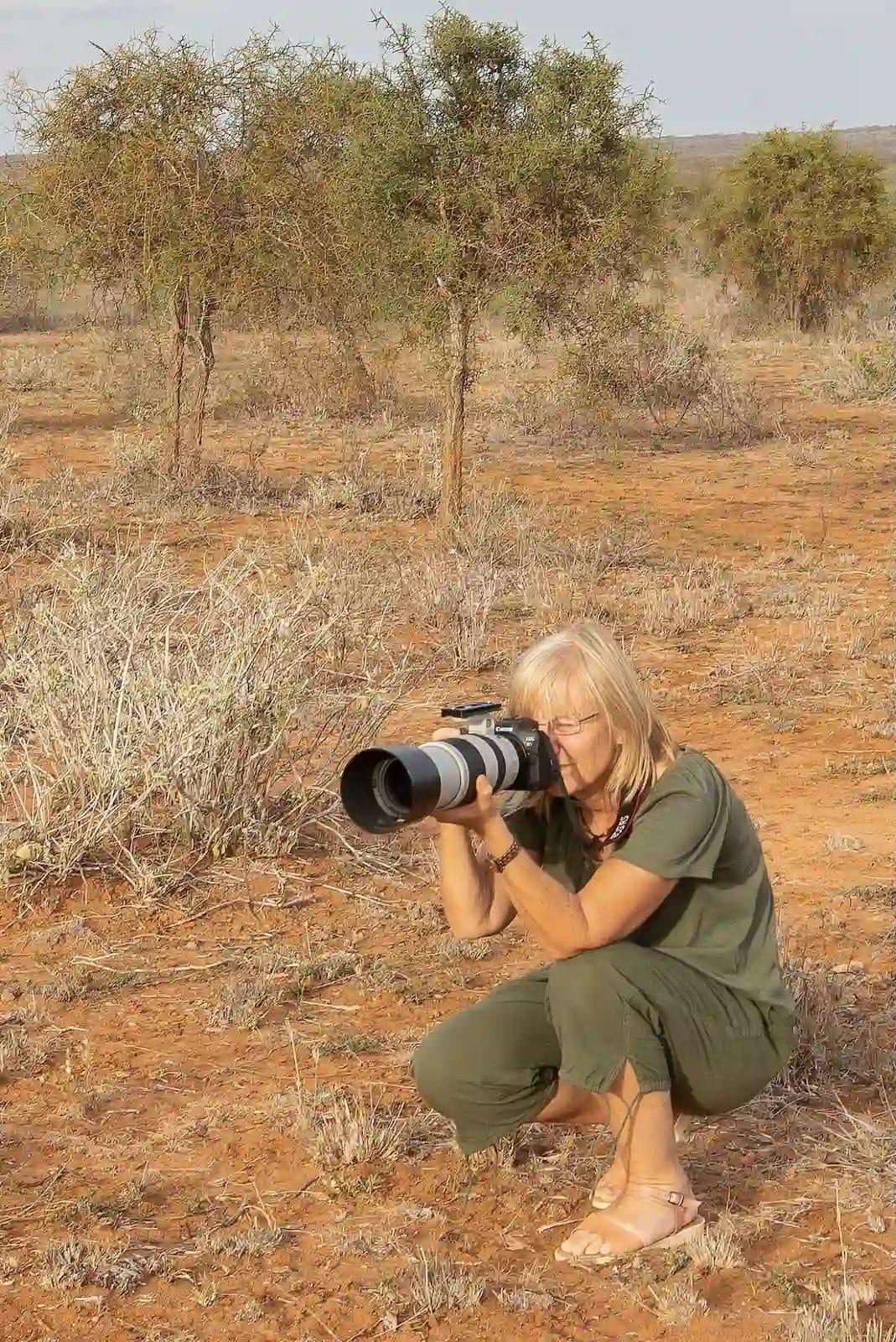 Alison Mees - Wildlife Photographer