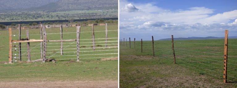 Fences in the Mara - Open Letter