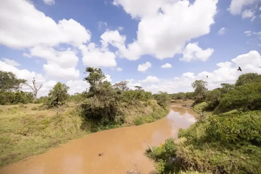 Landscape and river in Ol Pejeta Conservancy. Photo credit Tomas Rodriguez