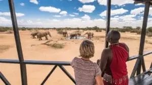 Safari Guide and guest observing Elephants from wildlife viewing platform in Selenkay Conservancy, Kenya.