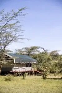 Porini Mara guest tent in the Ol Kinyei Conservancy surrounded by nature. Photo credit Zach Murphy