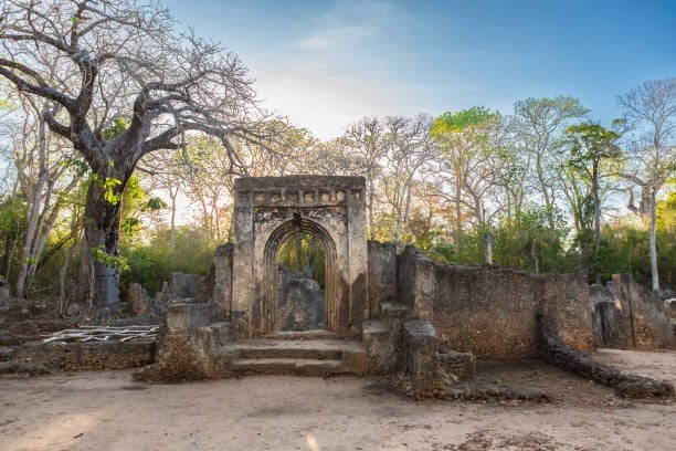 Stone arch doorway in ancient ruins framed by leafless trees, bathed in warm daylight.