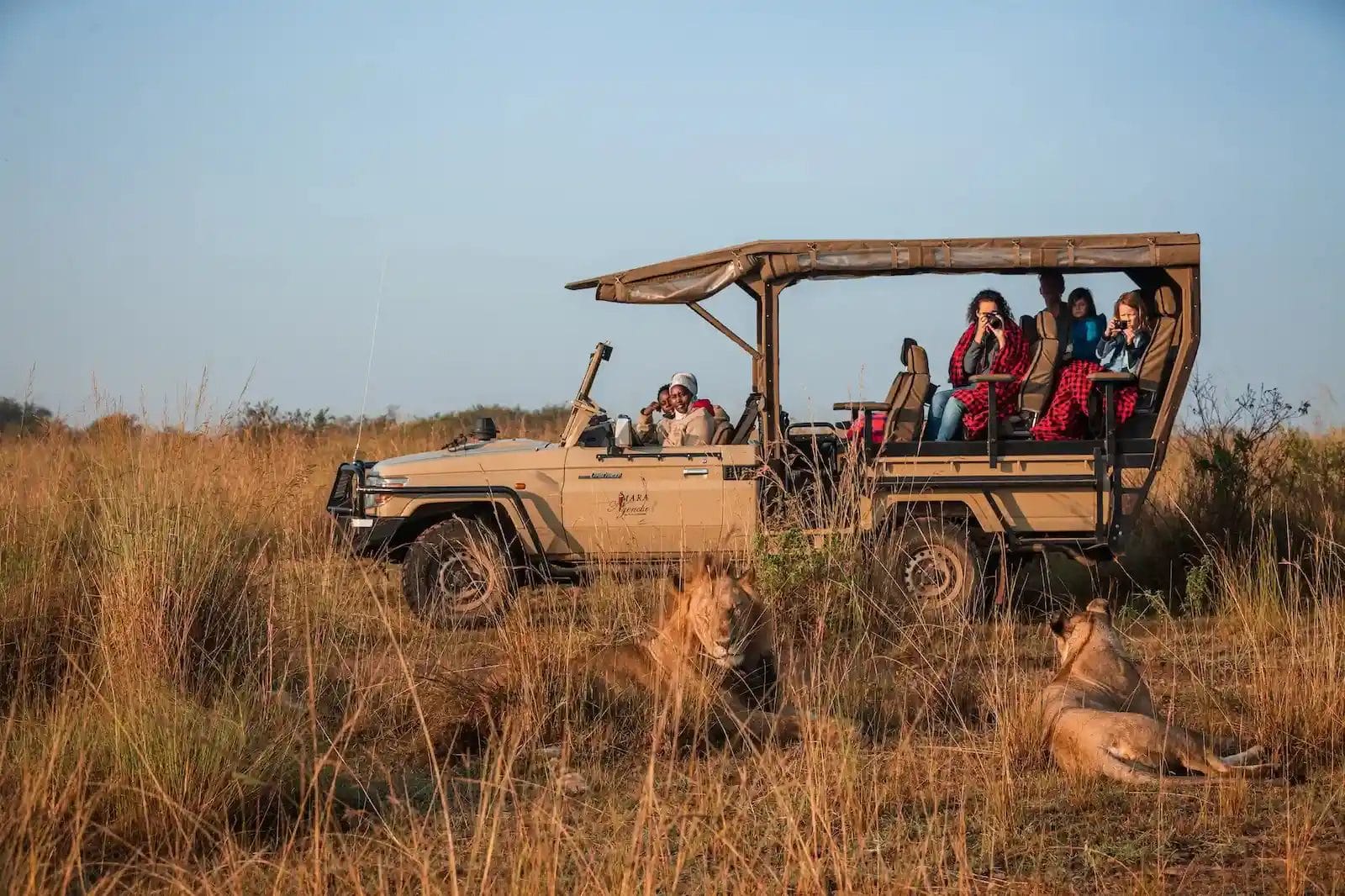 Gamedrive at Mara Ngenche Camp