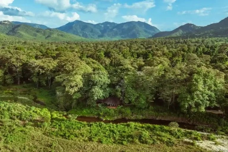 Kitich Forest Camp in Kenya.