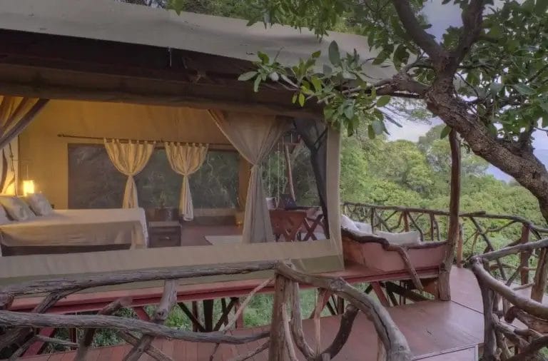 Tent Exterior at Sarara Treehouses - photo credit Stevie Mann.
