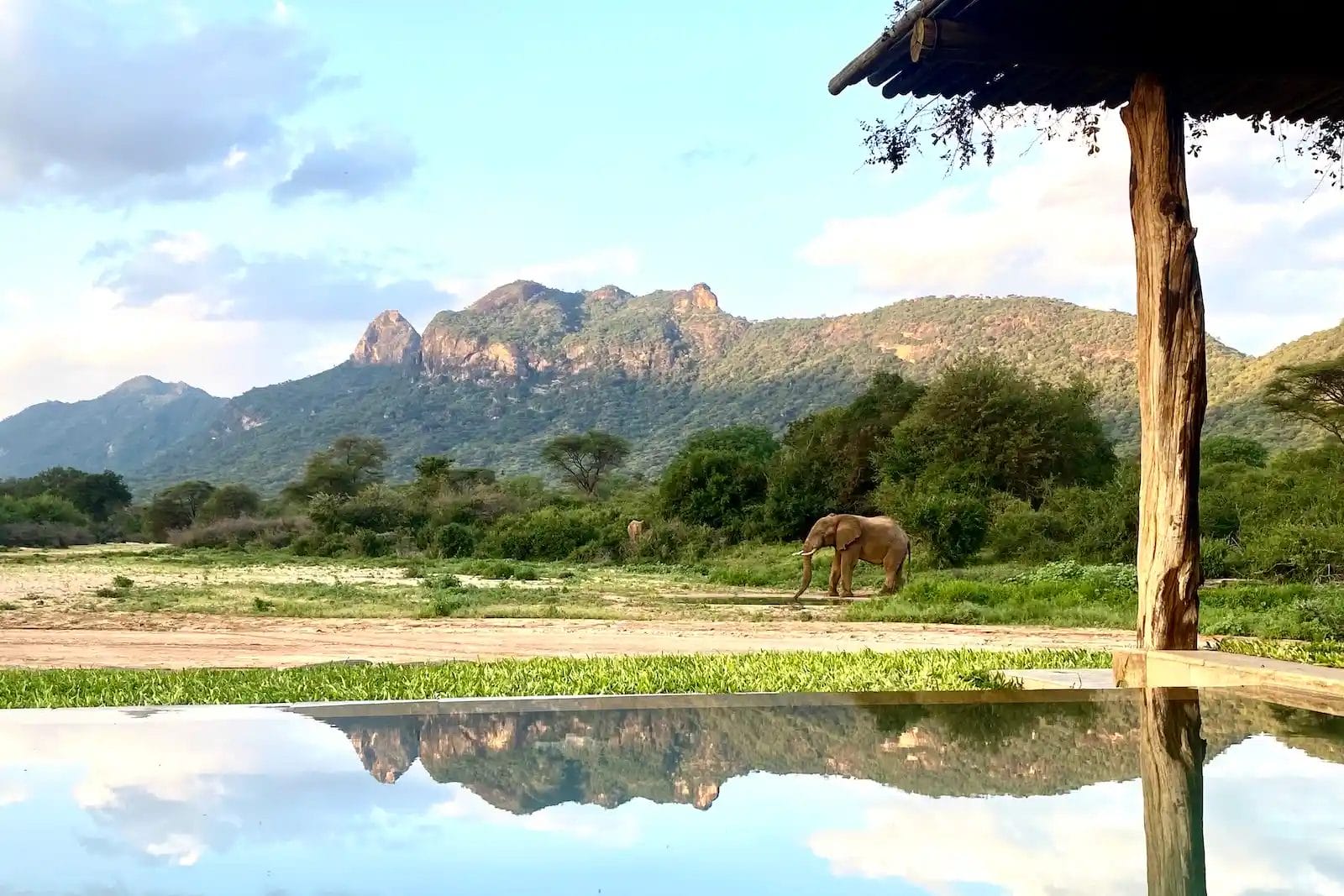 View with elephant at Kalepo Camp Kenya