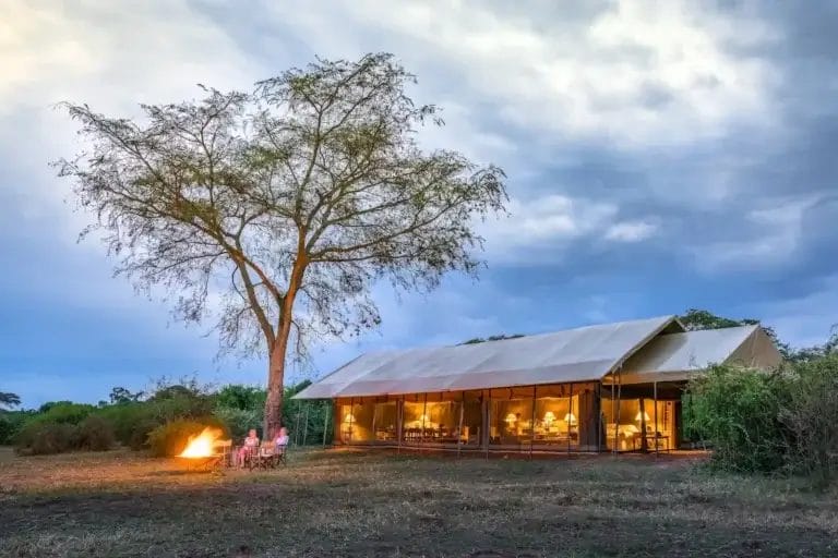 Evening camp scene with a large tree, an open-sided tent, and people seated around a glowing campfire oat Honey Bear Bush Camp, Uganda.