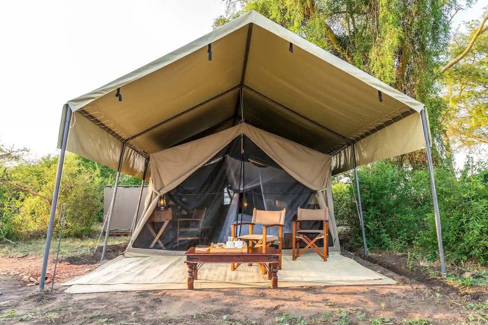 Large beige camping tent with an open front, two wooden chairs and a coffee table on a rug outside, surrounded by trees at Honey Bear Bush Camp, Uganda.
